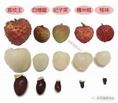 荔枝品种排名